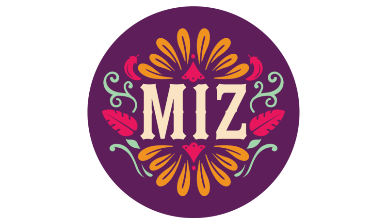 MIZ Logos 03